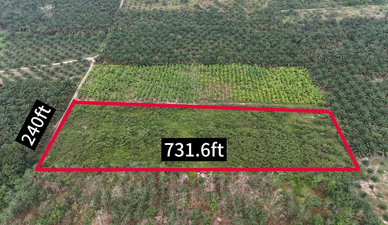 TANAH_PERTANIAN_4_EKAR_KAMPUNG_RAHMAT_SRI_LALANG_KLUANG_JOHOR_1