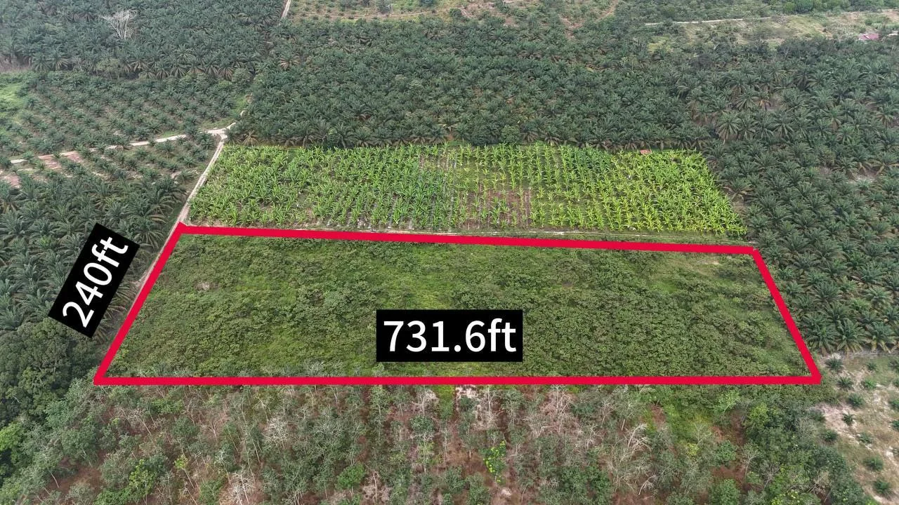 TANAH PERTANIAN 4 EKAR KAMPUNG RAHMAT SRI LALANG KLUANG UNTUK DIJUAL