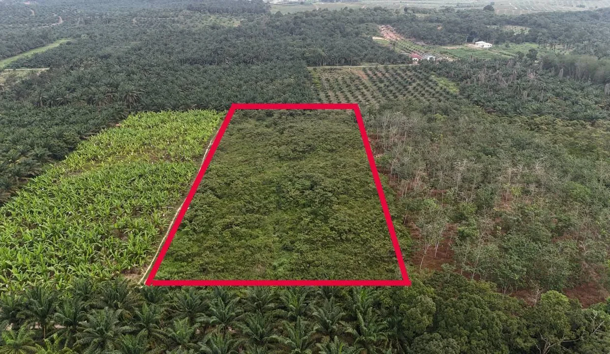 TANAH_PERTANIAN_4_EKAR_KAMPUNG_RAHMAT_SRI_LALANG_KLUANG_JOHOR_2